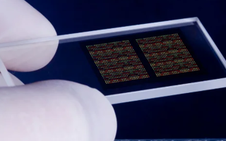 High-Precision Biomedical Glass